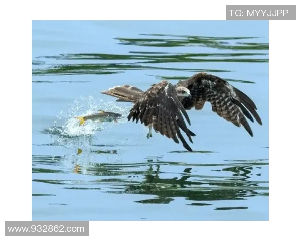 溢水镇足球比赛精彩直播回放全程回顾与精彩瞬间分享